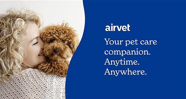Airvet - your pet care companion, anytime, anywhere