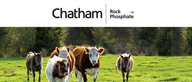 Chatham Rock Phosphate - frontpage